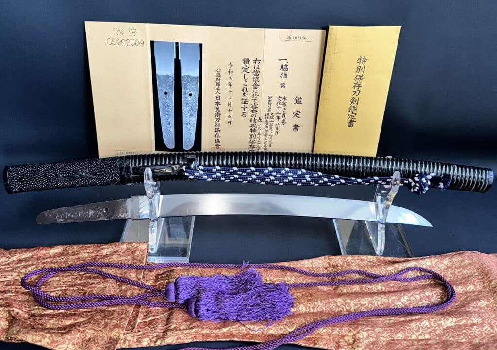 1 body test cut Wakizashi (14)