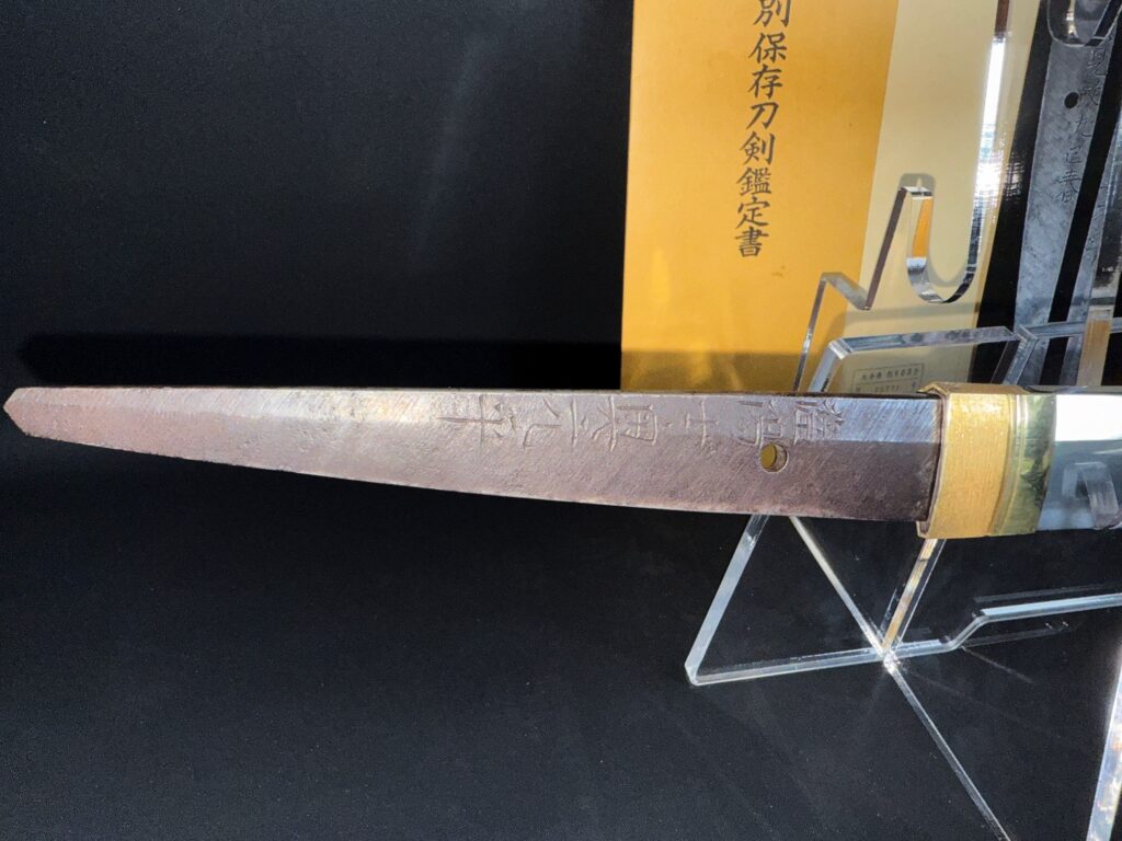 Satsuyoshi Motohira (10)