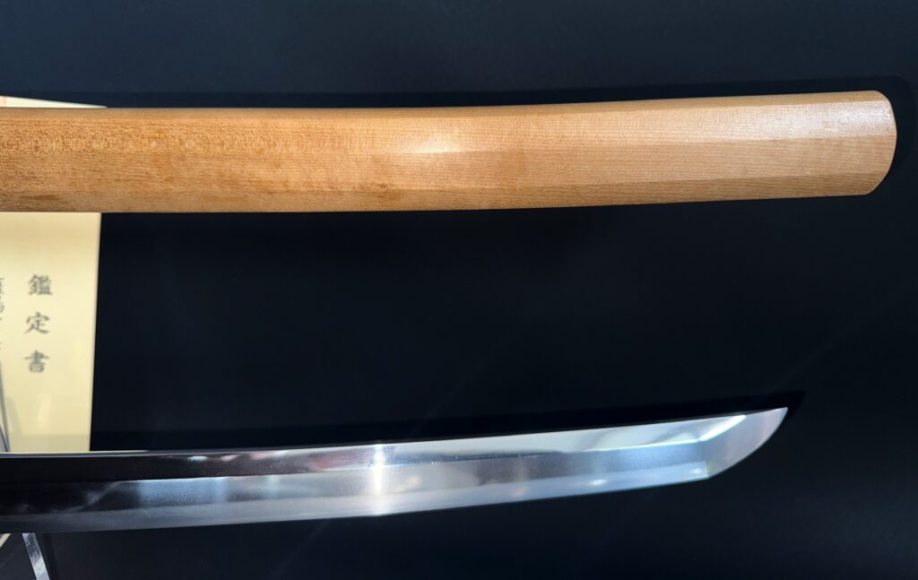 Satsuyoshi Motohira (13)