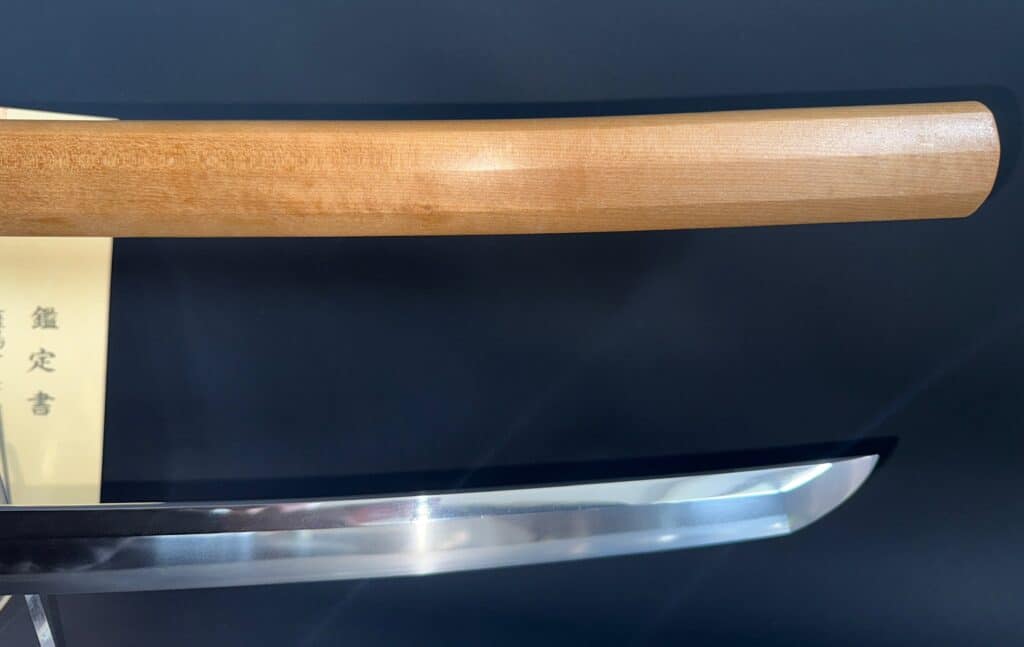 Satsuyoshi Motohira (13)
