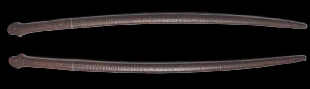 Fujiwara Kuniyoshi (4)