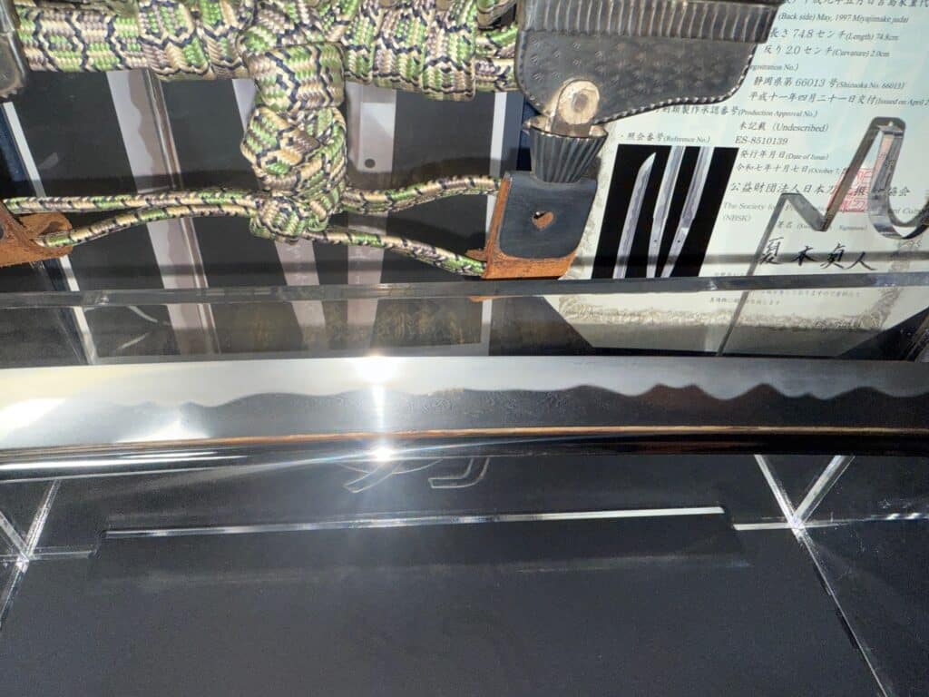 Sadayoshi and Sadahito (24)