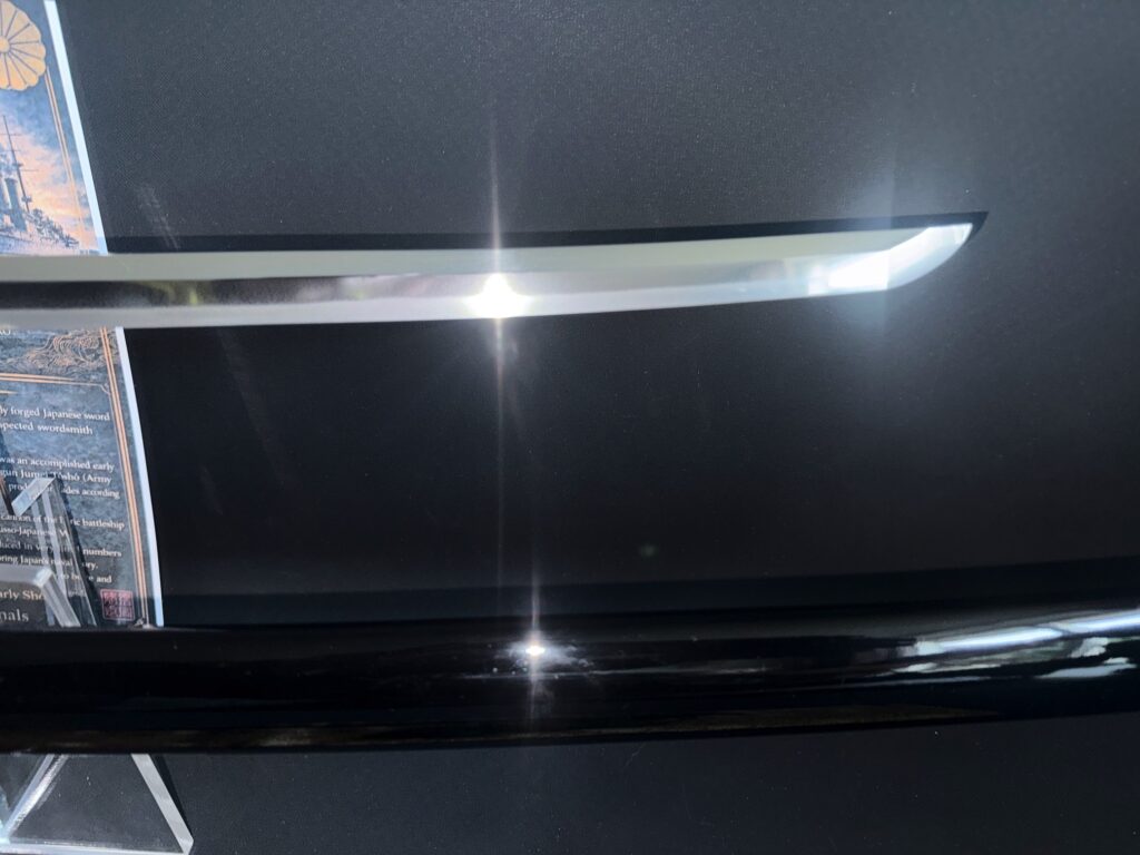 Hideaki Mikasa Sword (12)