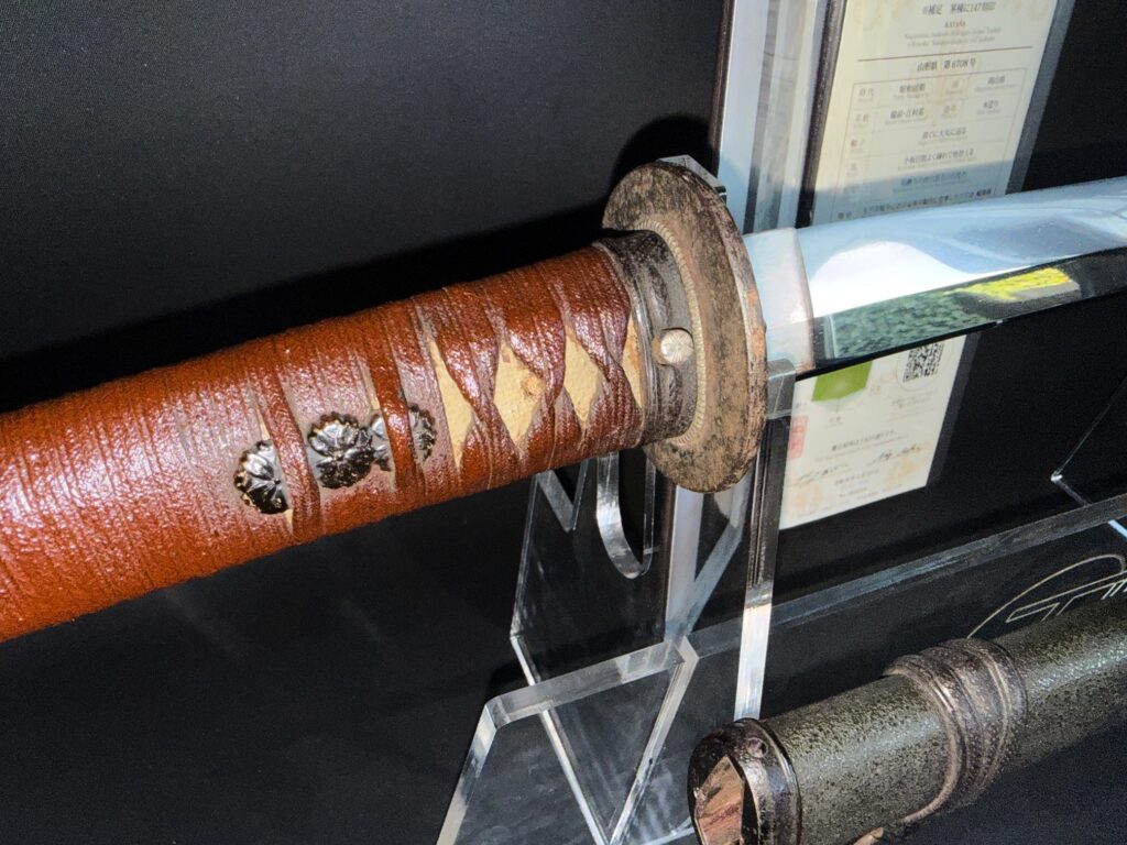 Nagamitsu Emura (14)