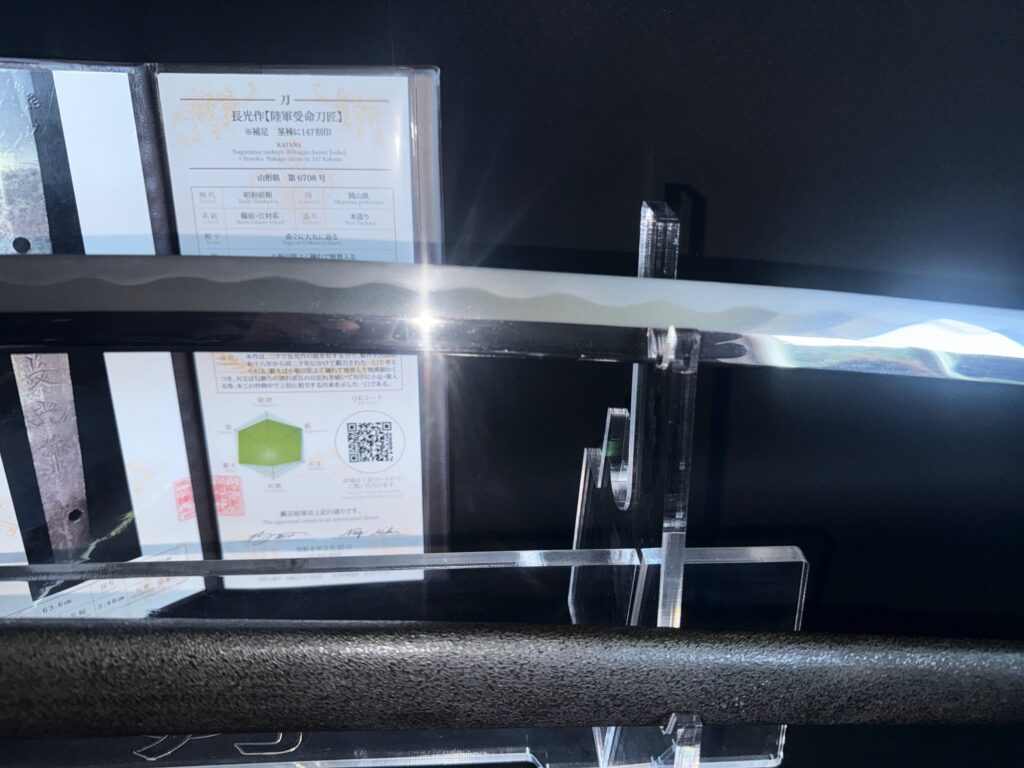 Nagamitsu Emura (16)