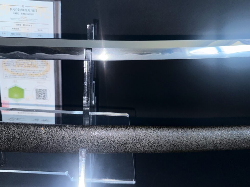 Nagamitsu Emura (21)