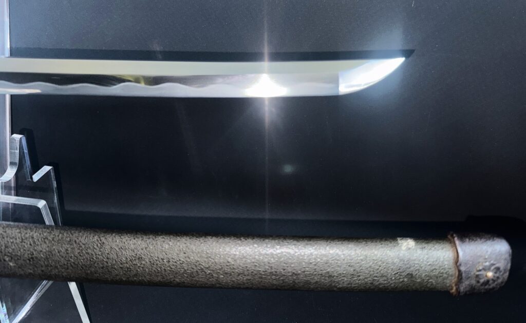 Nagamitsu Emura (22)