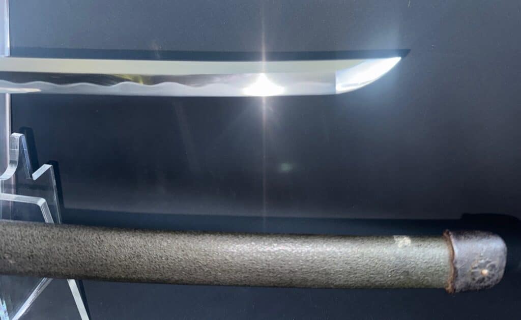 Nagamitsu Emura (22)