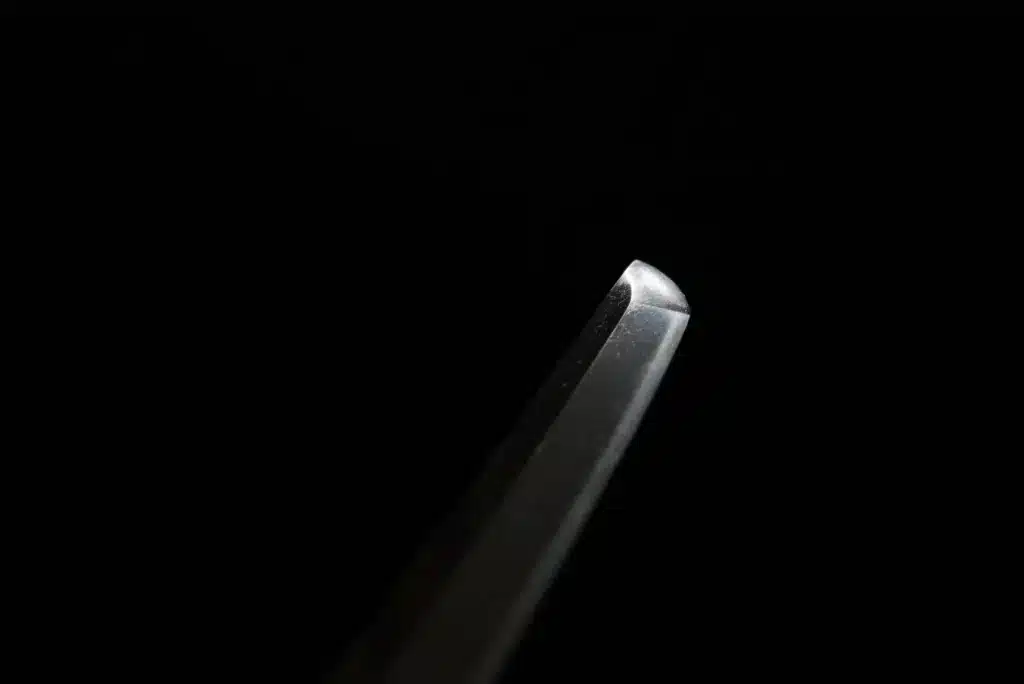 Ryumon Sword Kamakura (5)