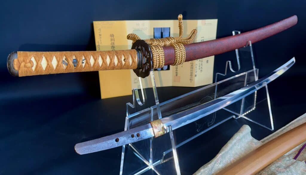 Bishū Tomo-jū Sadatsugu (14)