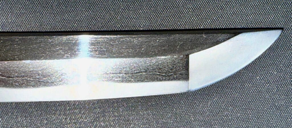 Bishū Tomo-jū Sadatsugu (17)