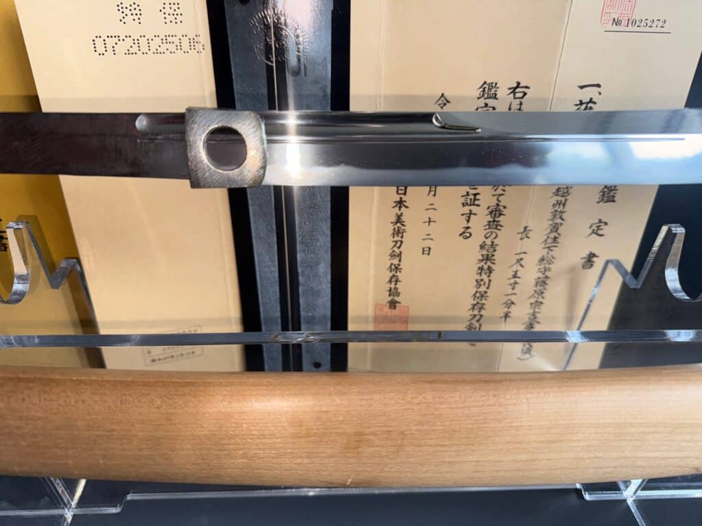 Naginata (7)